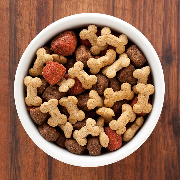 Dog food Top view of white bowl full of dog food dog food stock pictures, royalty-free photos & images