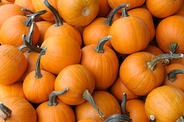 istock Lots of Pumpkins 165907515