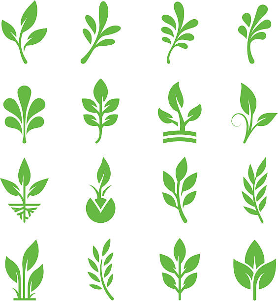 緑の葉&枝のアイコンを設定します - seedling tree plant green点のイラスト素材／クリップアート素材／マンガ素材／アイコン素材