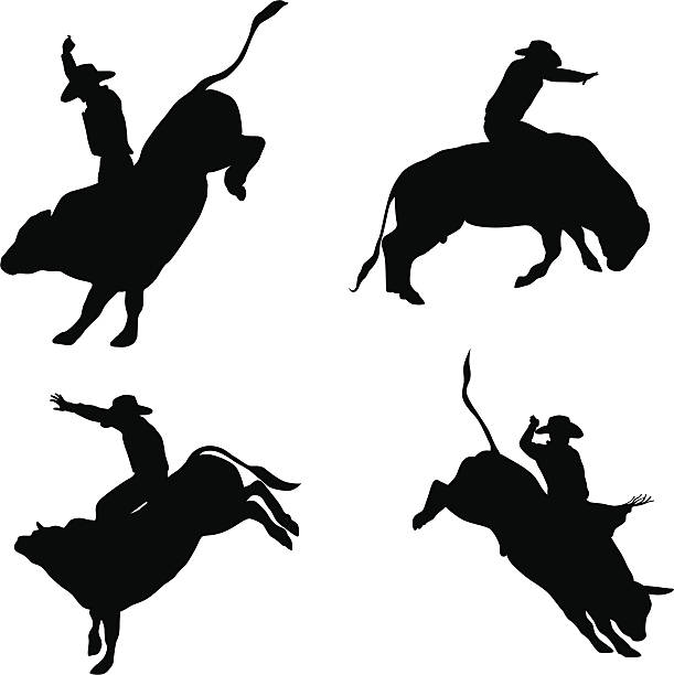 illustrazioni stock, clip art, cartoni animati e icone di tendenza di bullriding - rodeo bull bull riding cowboy