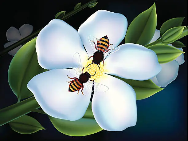 Vector illustration of Spring flower and Bee