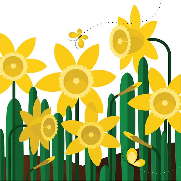 Vector illustration of Daffodils butterflies spring flower yellow garden illustration vector