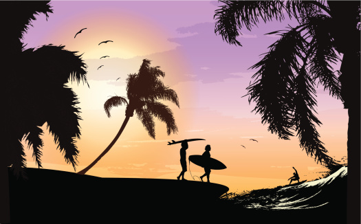 Surf scene at beautiful sunset with silhouette of three surfers, palm trees and seagulls.