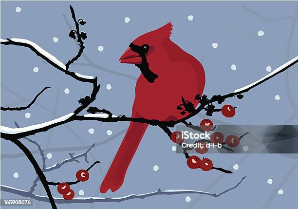 Cardinal In The Snow Stock Illustration - Download Image Now - Cardinal - Bird, Branch - Plant Part, Berry Fruit