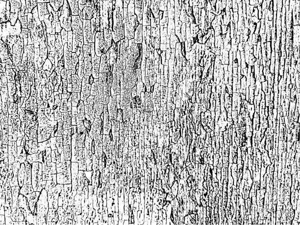 Vector illustration of A black and white grunge background of peeling old paint on a wooden board. Authentic texture for design. Vector illustration