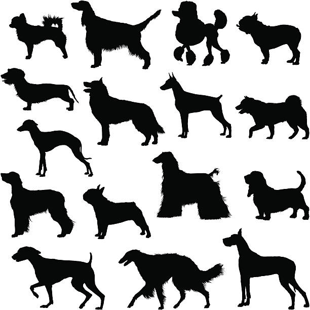 vielen hunden silhouette - pudel stock-grafiken, -clipart, -cartoons und -symbole