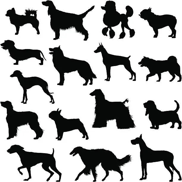 Vector illustration of Many dogs silhouette