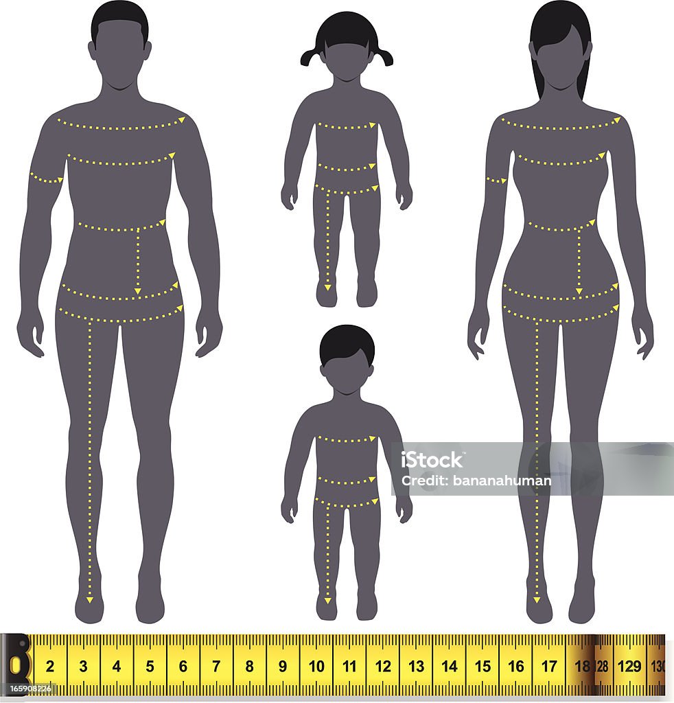 Medida de medición - arte vectorial de Cuerpo humano libre de derechos