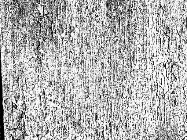 Vector illustration of Worn-out vintage wood texture with fading paint. Grunge background for artistic design. Vector illustration