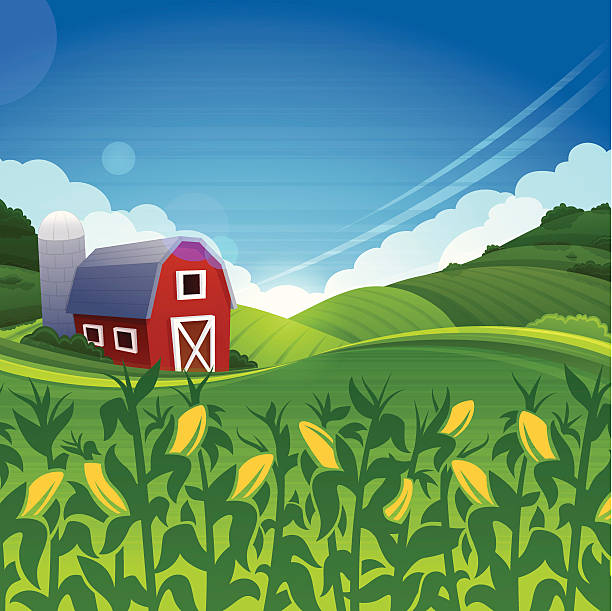 Summer Farm Red barn farm summer background. Very detailed background with copy space. cultivated illustrations stock illustrations