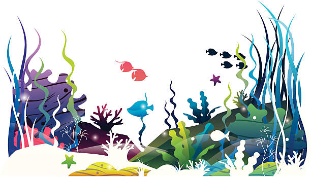 sea floor world vector art illustration