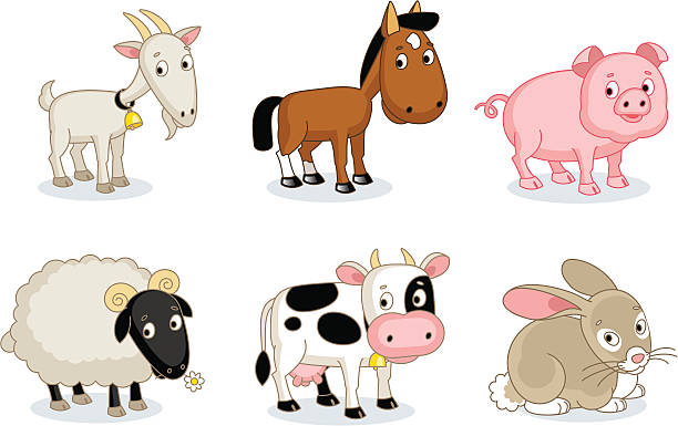 ilustraciones, imágenes clip art, dibujos animados e iconos de stock de farmyard los animales - livestock vector cute domestic cattle