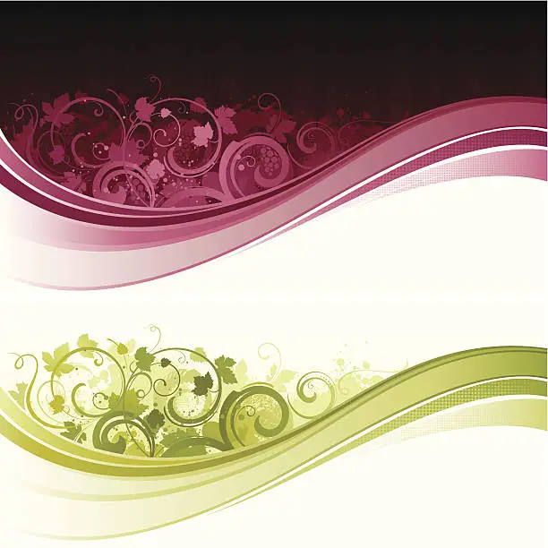 Vector illustration of Wine flow design backgrounds