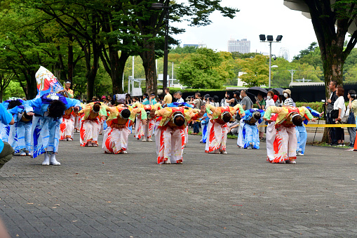 Tokyo, Japan-August 27, 2023:\nHarajuku-Omotesando Genki Matsuri Super Yosakoi was held in Harajuku and Yoyogi Park area, Tokyo, on the last weekend of August this year. Men and women, young and old, performed very vibrant dancing in Super Yosakoi Parade..\nYosakoi is one of the most popular dance festivals in Japan, which originated in Kochi City, Shikoku Island, in 1954, and takes place for four days, including the eve of festival, from August 9 to 12 each year. Ever since, Yosakoi has become popular throughout Japan and Yosakoi festivals are now held all over, including Tokyo, throughout the year.