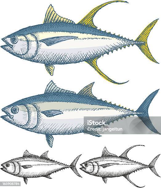 Peixe De Atum - Arte vetorial de stock e mais imagens de Atum - Animal - Atum - Animal, Amarelo, Barbatana - Parte do corpo animal