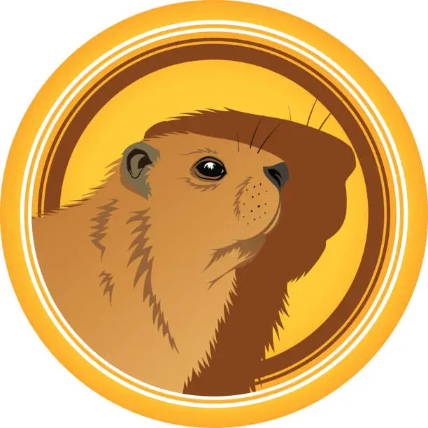 Vector illustration of Marmot