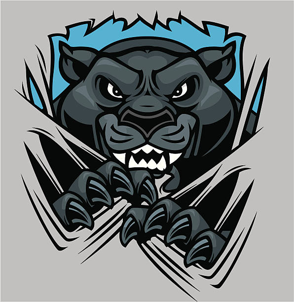 Carolina Panthers PANTHER on the Prowl Scratched Word Logo Type Die-Cut  MAGNET