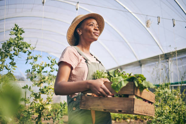 smile, greenhouse and black woman on farm with vegetables in sustainable business, nature and sunshine. agriculture, garden and happy female farmer in africa, green plants and agro farming in field. - kas bouwwerk stockfoto's en -beelden