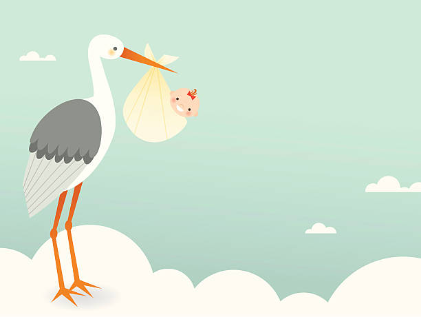 Stork's Bundle of Joy A tall, regal stork carrying a little bouncing baby ready for arrival to expectant parents bundle stock illustrations