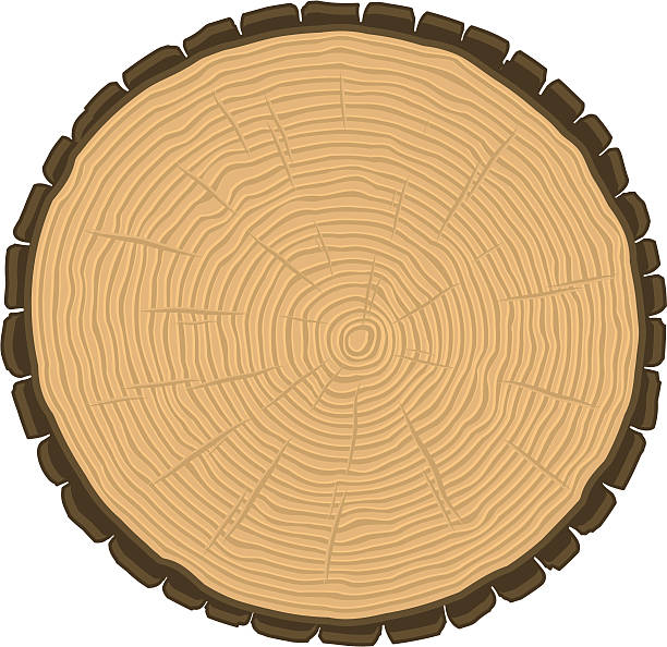 ilustrações de stock, clip art, desenhos animados e ícones de registo de corte - wood lumber industry tree ring wood grain