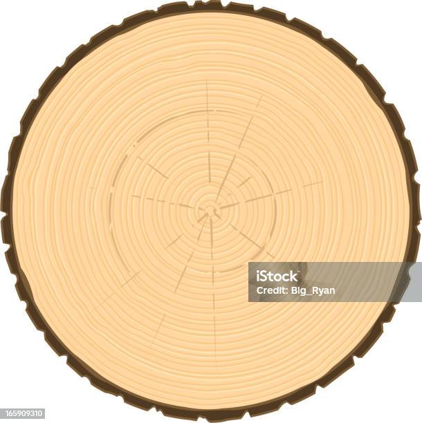 Anello Di Albero Cerchio - Immagini vettoriali stock e altre immagini di Cerchio - Cerchio, Anello di albero, Legno