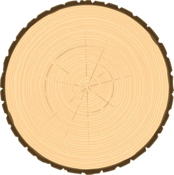 Vector illustration of tree ring circle