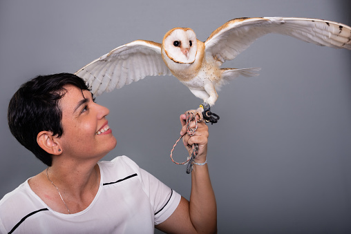 Photo of an owl with open wings in a woman's hand. Wild animal. Studio portrait against gray background.