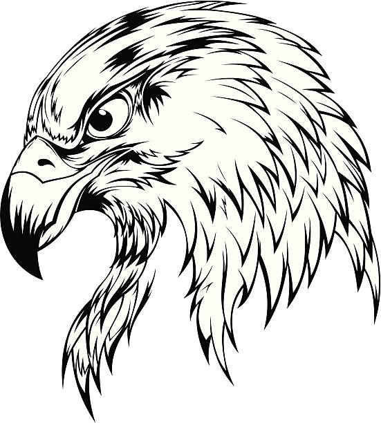 Eagle Head Stock Illustration - Download Image Now - Eagle - Bird, Black  Eagle, Falcon - Bird - iStock