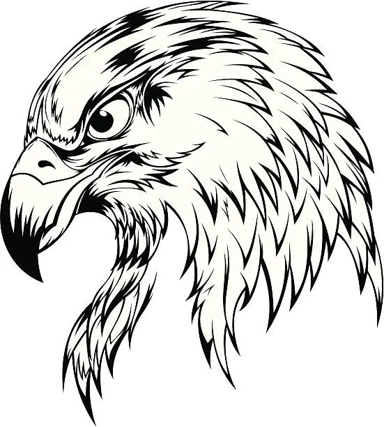 Vector illustration of Eagle Head