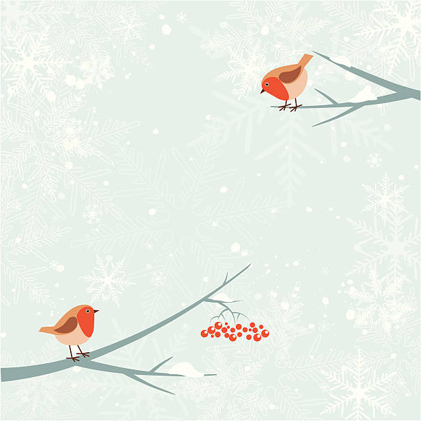 рождество робин птица - tree winter bird branch stock illustrations