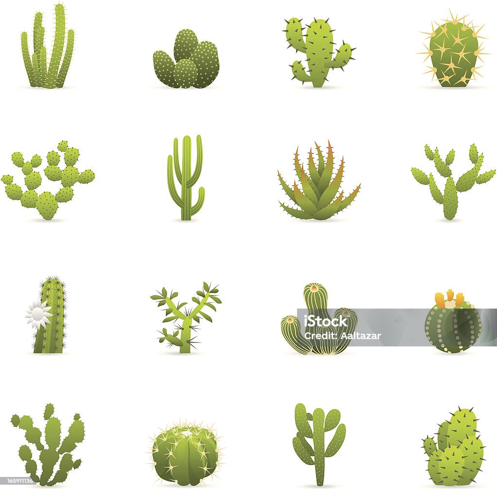 Cor ícones-Cactuses cactos - Royalty-free Cato arte vetorial