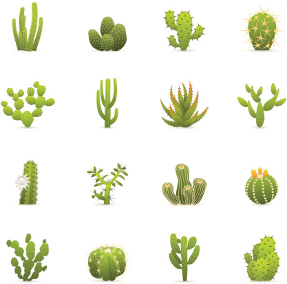 Cactuses Cacti color icons.