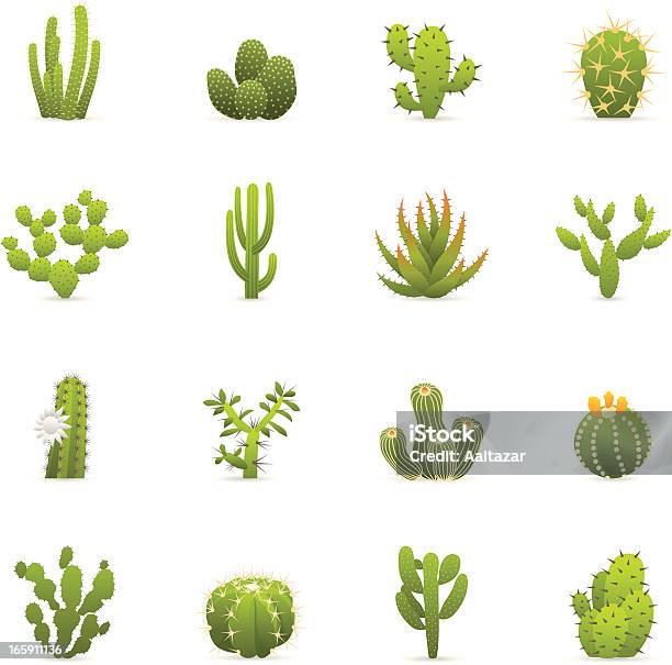 Color Icons Cactuses Cacti Stock Illustration - Download Image Now - Cactus, Vector, Succulent Plant