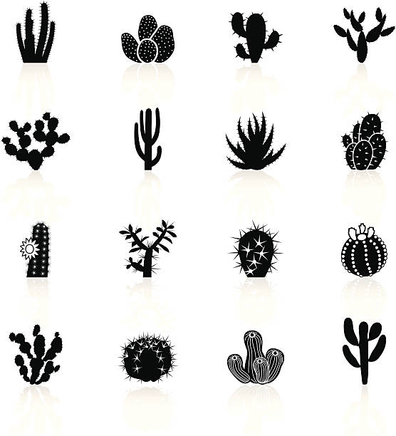 illustrazioni stock, clip art, cartoni animati e icone di tendenza di nero simboli-cactuses cactus - cactus thorns