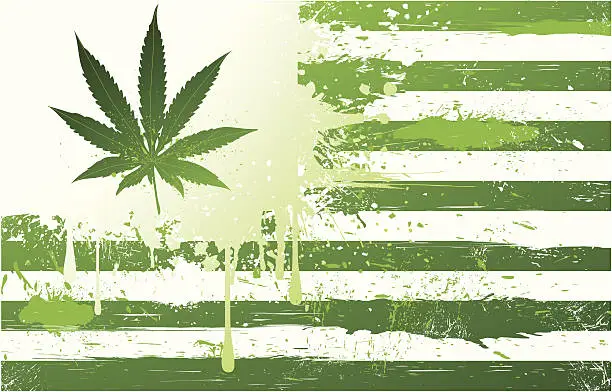 Vector illustration of Marijuana States of America