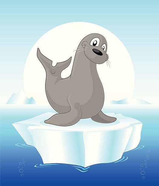 Seal on an iceberg cartoon Fully editable vector illustration of a cartoon seal sitting on an iceberg in the ocean. seal animal stock illustrations