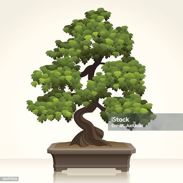 Vetores de Inglês Hawthorn Bonsai e mais imagens de Bonsai - Bonsai, Ilustração e Pintura, Cultura Japonesa