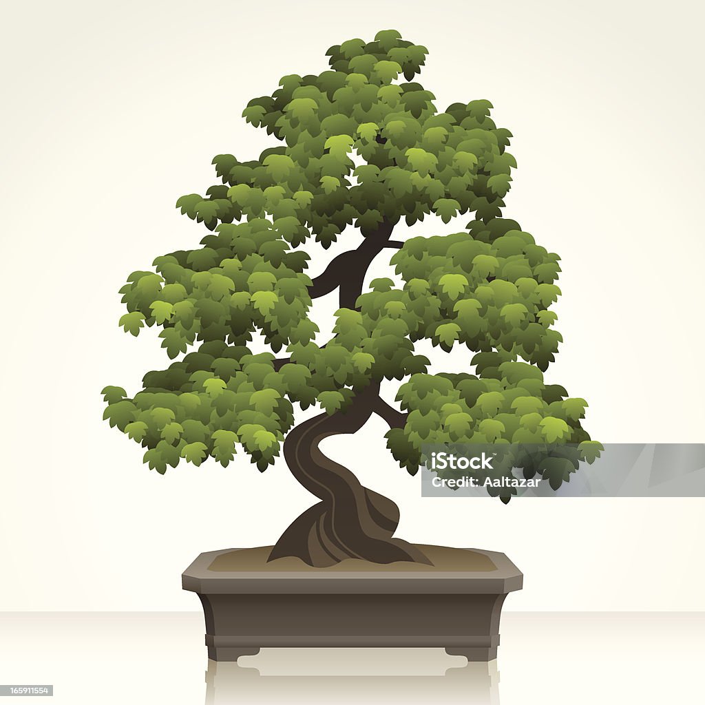 English Hawthorn Bonsai Illustration of a English Hawthorn Bonsai. Elements (bonsai, vase, reflection and background) are set on different layers. Linear and radial gradients were used. Bonsai Tree stock vector