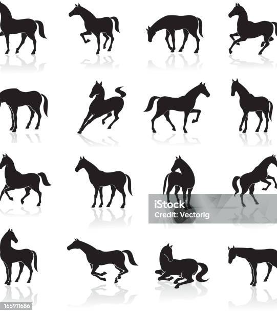 Vetores de Cavalo Conjunto De Ícones e mais imagens de Cavalo - Família do cavalo - Cavalo - Família do cavalo, Ícone de Computador, Potro