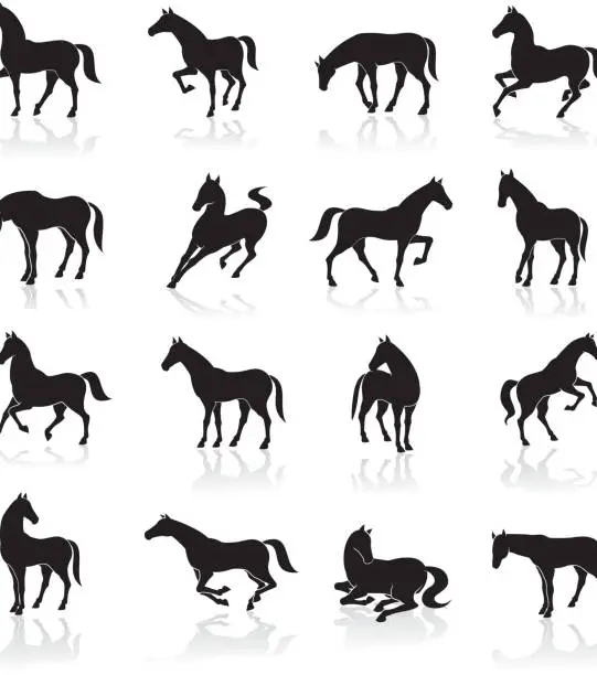 Vector illustration of Horse Icon Set