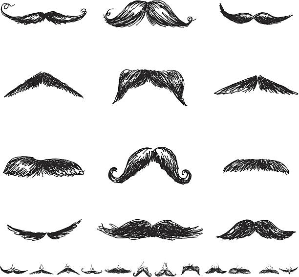 Set of Twenty-Four Men'sMoustacheIllustration Icons in Flat Colors Hand Drawn Moustache Illustration. Bottom row includes the noses. Set of twenty-four different styles of Men's Moustaches Illustration Icons in flat colors. No gradients, clipping masks or other effects. Individually grouped. Moustaches are done in black and white silhouette isolated on a white background.  moustache stock illustrations