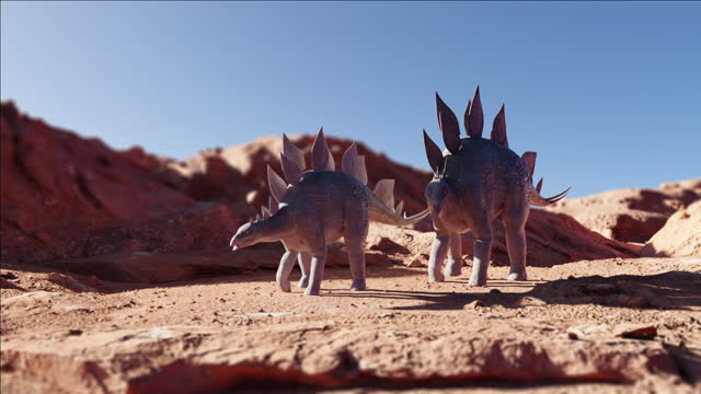 stegosaurus 02