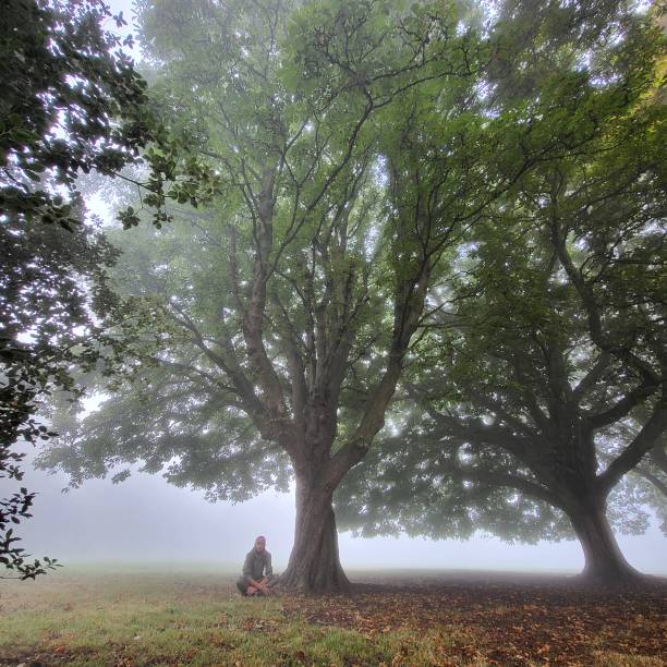 istock Admiring trees on a foggy morning 1659123985