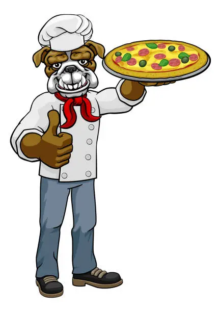 Vector illustration of Bulldog Pizza Chef Cartoon Restaurant Mascot