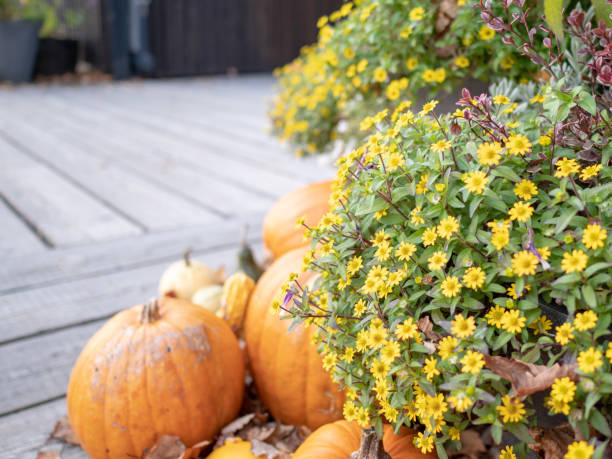 istock Festive scene with Halloween pumpkins 1659129060