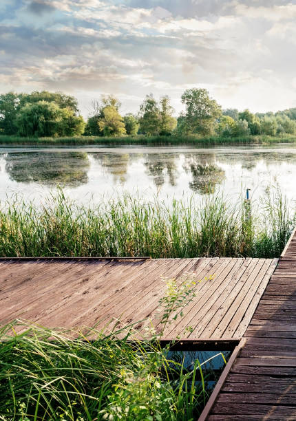Wooden bridge over the pond