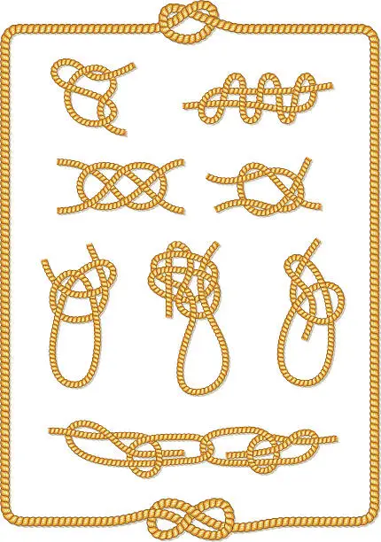 Vector illustration of Knots