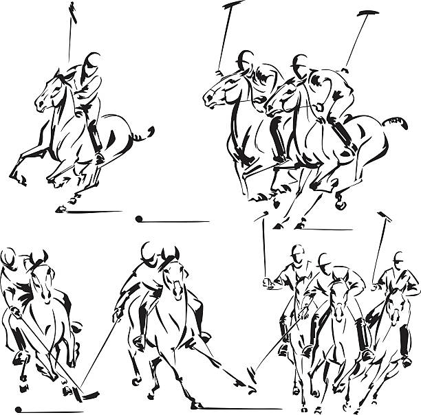 illustrations, cliparts, dessins animés et icônes de les joueurs de polo - polo