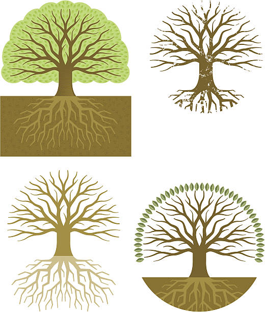 Tree Roots Texture Vector 1,100+ Tree Root Texture Stock Illustrations, Royalty-Free Vector ...