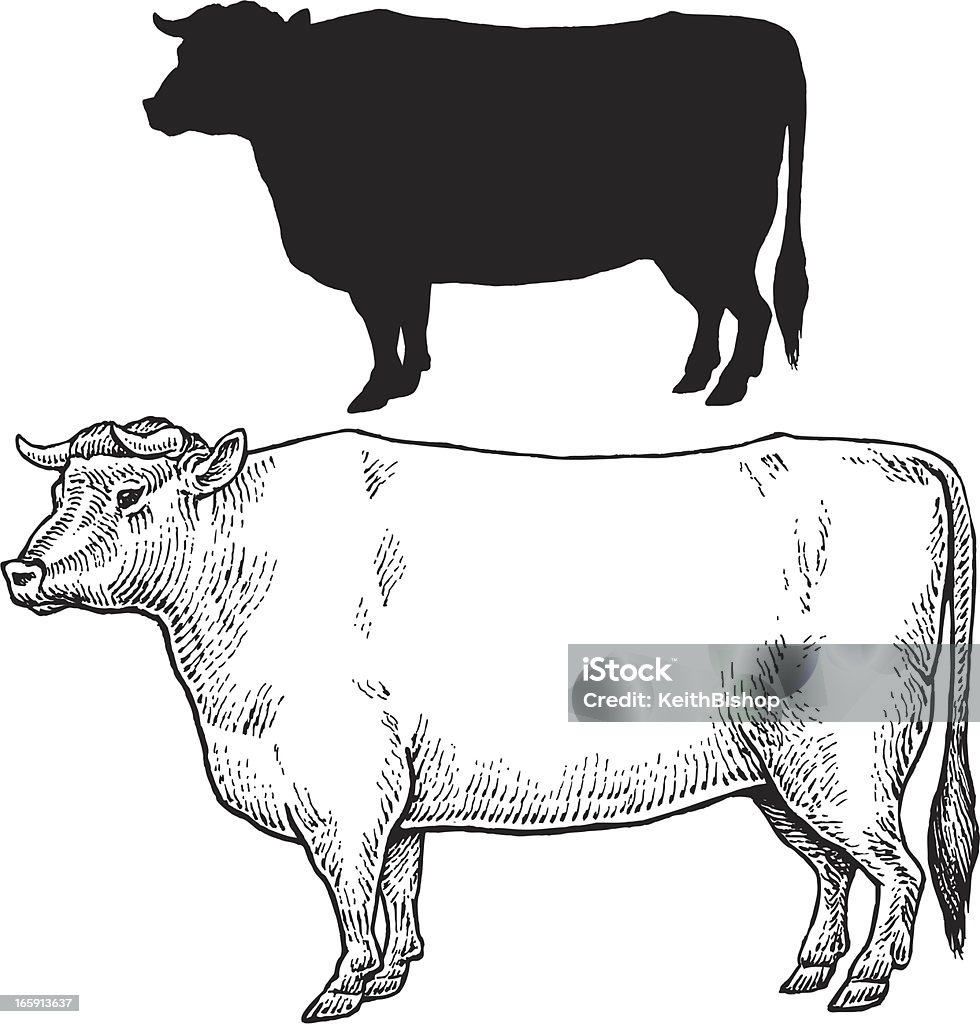 Bull Vaca; Granja animales - arte vectorial de Animal libre de derechos